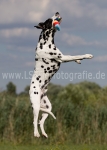 35 Sommer 2010